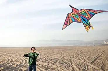 Truzo Toys Kite Flying