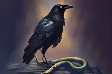 The Crow And The Snake